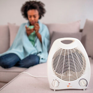 Calefactor 2 en 1 WT-165